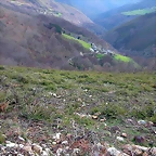 DSCN8553