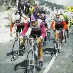 VUELTA 1981-REGIS CLERE-RUPEREZ-JORGEN MARCUNSEN-PINO-PUJOL.