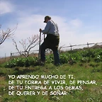 Diapositiva6