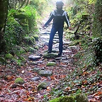 33-IMG_3174