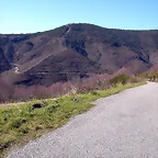 DSCN7993