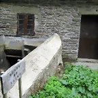 IMG_0301