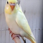 20191230_141010