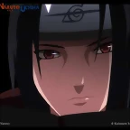 20 (6)