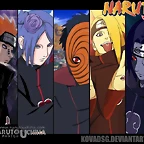 19 (7)