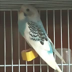 20170501_125103
