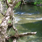 071-Imagen 077