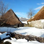 DSCN1935