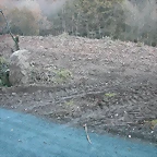 DSCN6670