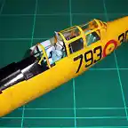 T-6 (41)