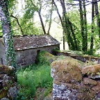 DSCN2448