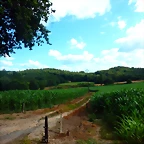 DSCN6402