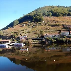DSCN4525
