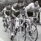 MERCKX,GIMONDI.