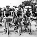 GIRO1966,MOTTA,ANQUETIL,J.JIMENEZ.GIMONDI