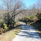 DSCN7931