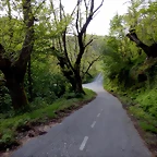 DSCN9642
