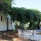 06, cortijo y parra, marca