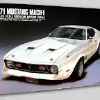 arii1971mustang