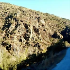 DSCN8903