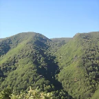 IMG_1085