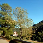 DSCN0632