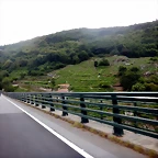DSCN7586