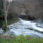 DSCN2889