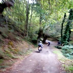 DSCN7054