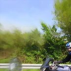 85-IMG_6307
