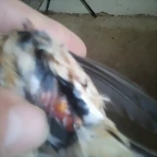 2013-03-24 11.55.36