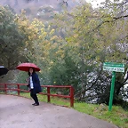 DSCN8323