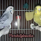 FB_IMG_1501665557253