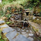 DSCN4062