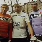 Merckx-Anquetil-Gimondi