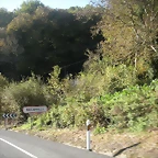 DSCN9951
