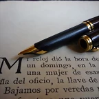 P1030593