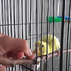 20170826_160331
