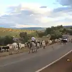 11, por la carretera, marca