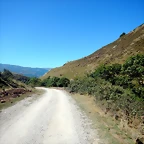 DSCN8394