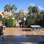 TORROX 072