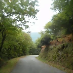 DSCN9351