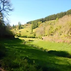 DSCN0079