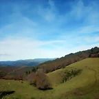DSCN1453