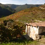 DSCN4627