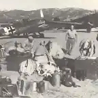 bf 109 en Sicilia