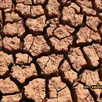 03, como tierra agostada y sin agua, marca