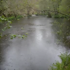 DSCN4169