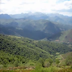 DSCN3954
