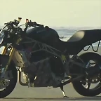 motus-mst-r_01